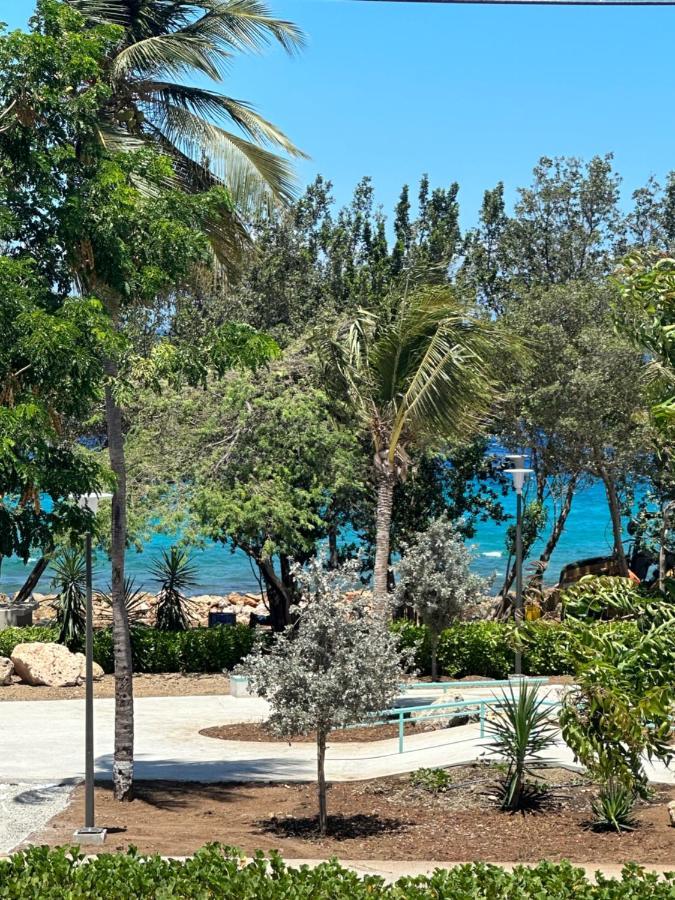 Whitehouse Boulevard, Close To Mambo Beach And City Centre Apartment Willemstad Exterior foto